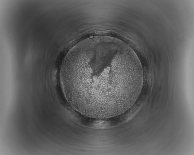 X0000116480319200912161257