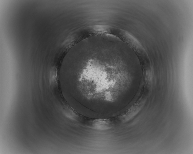 X0000116480320200912161257