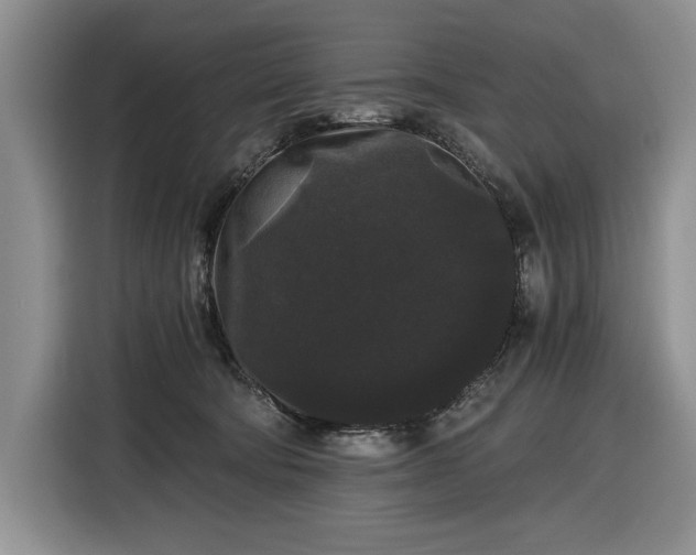 X0000116480322200912161257