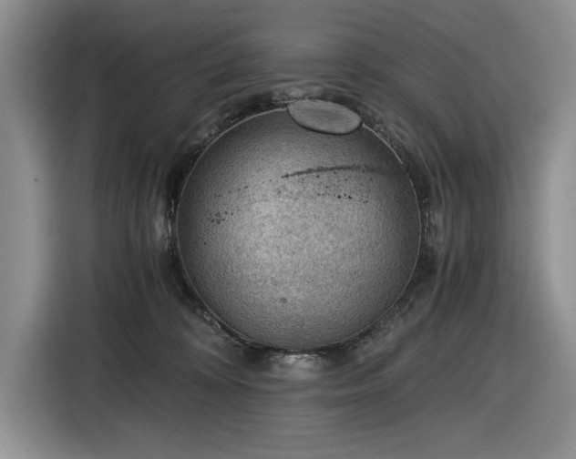 X0000116480324200912161257