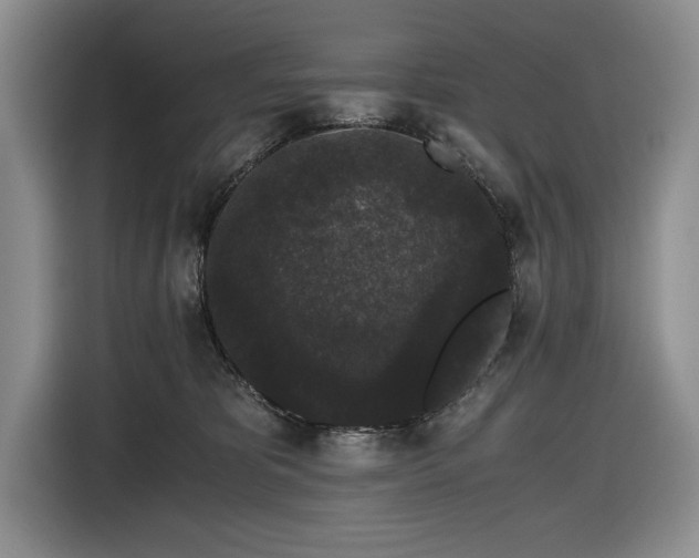 X0000116480325200912161257