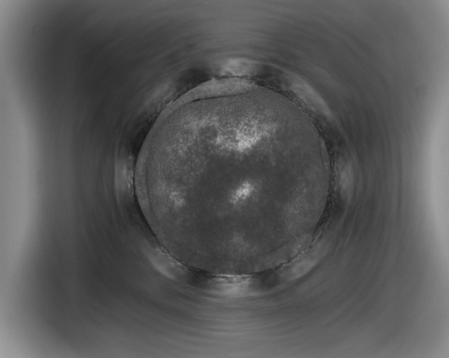 X0000116480328200912161257