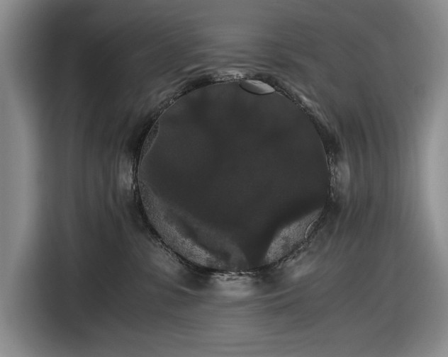 X0000116480331200912161257