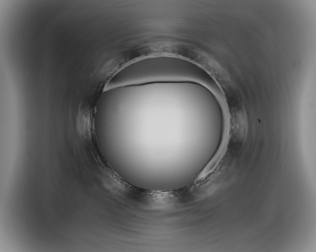 X0000116480333200912161257