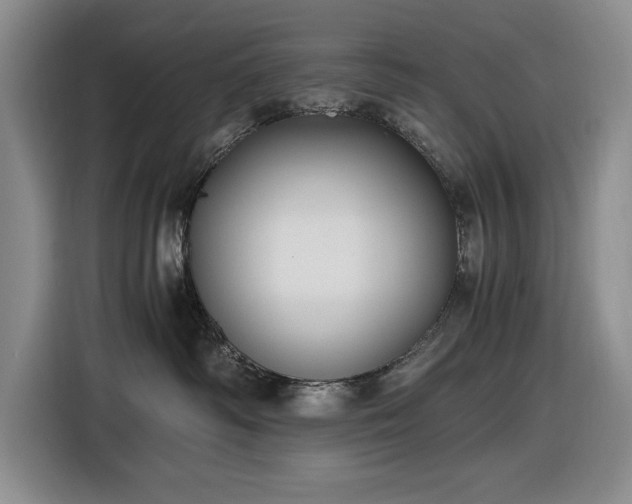 X0000116480334200912161257