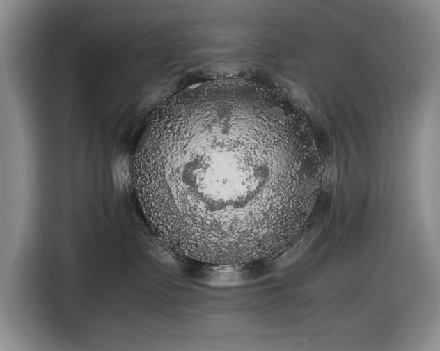 X0000116480335200912161257