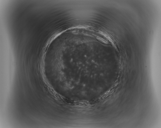 X0000116480337200912161256