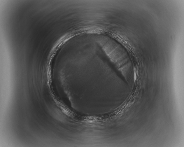 X0000116480339200912161256