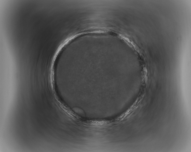 X0000116480342200912161256