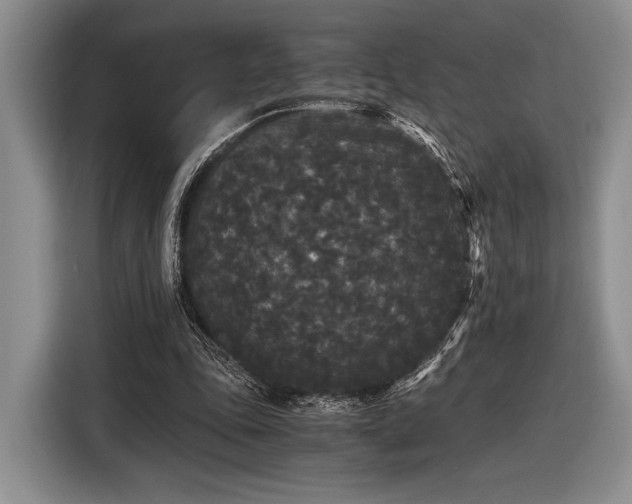 X0000116480343200912161256