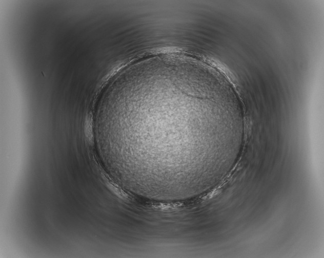 X0000116480345200912161256