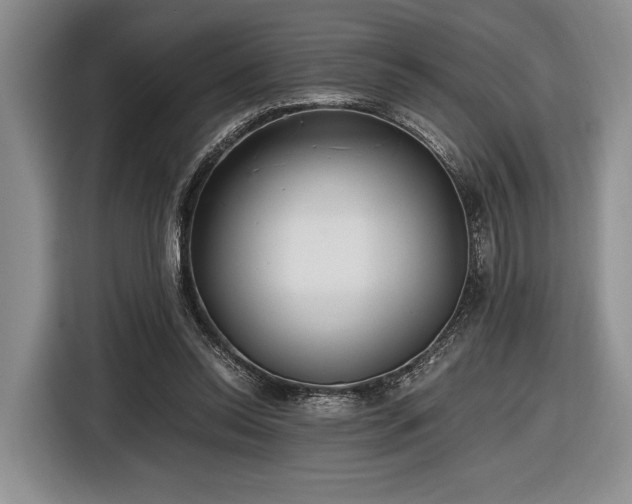 X0000116480350200912161256