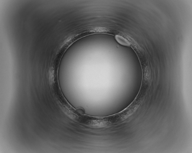 X0000116480351200912161257