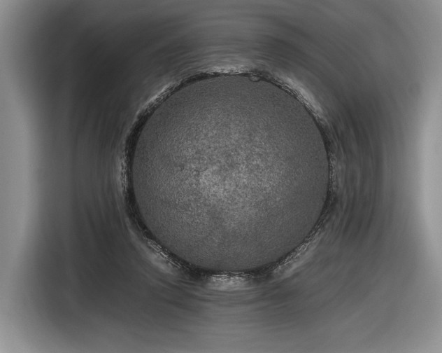 X0000116480354200912161257