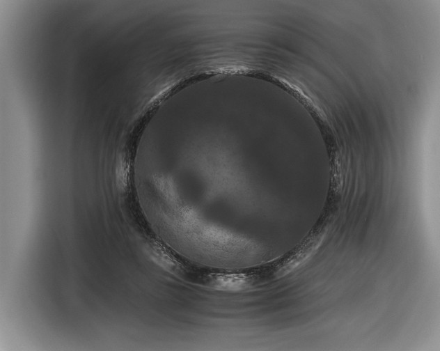 X0000116480355200912161257