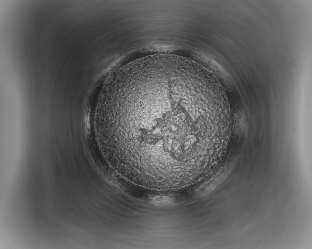 X0000116480358200912161257