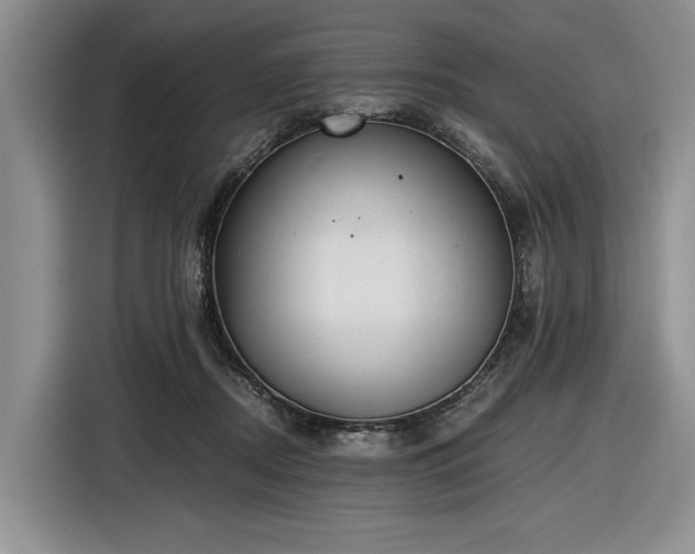 X0000116480362200912161257