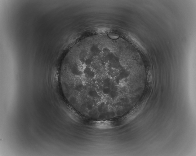 X0000116480363200912161257