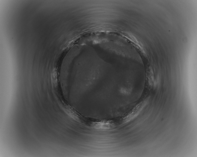 X0000116480366200912161257