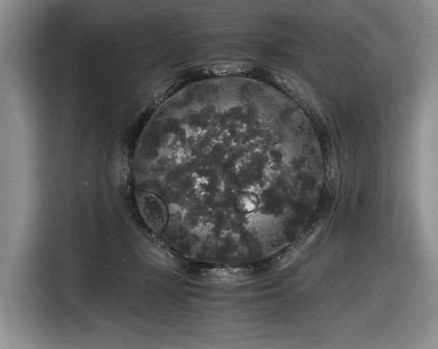 X0000116480367200912161257