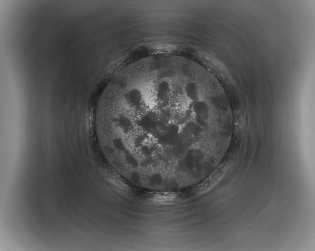 X0000116480369200912161257