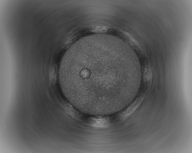 X0000116480370200912161257