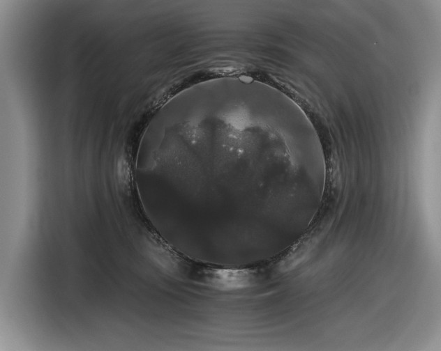 X0000116480371200912161257