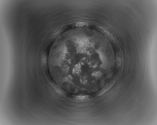 X0000116480375200912161257