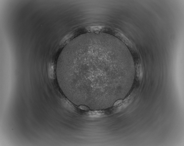 X0000116480378200912161257