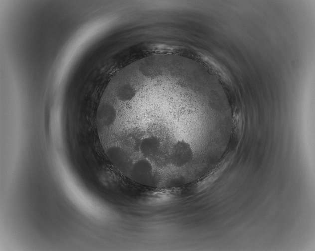 X0000116480381200912161257