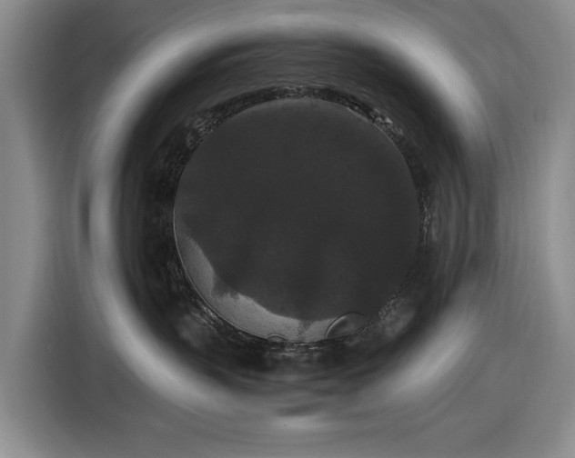 X0000116480383200912161257