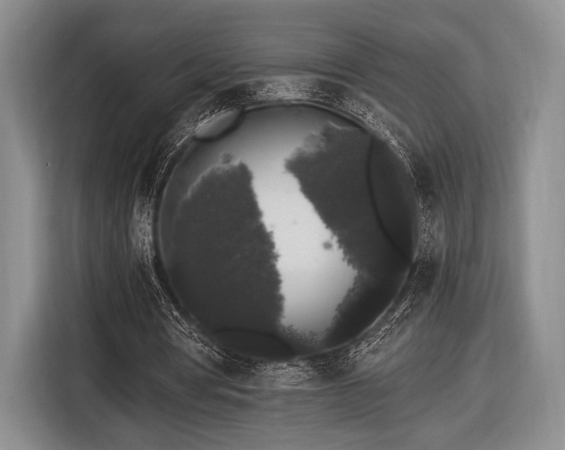 X0000116480386200912161256