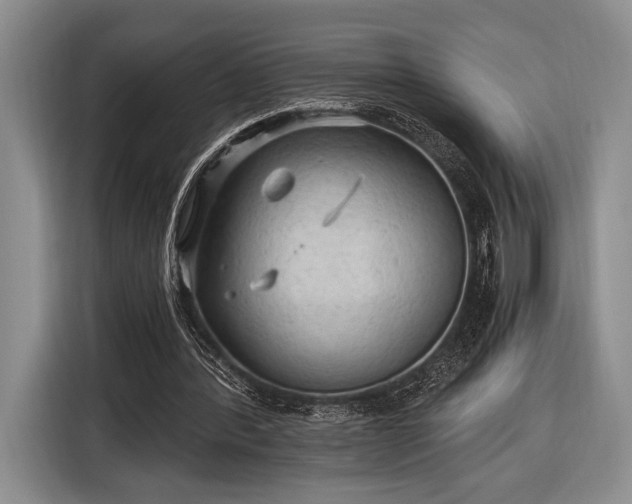 X0000116480388200912161256