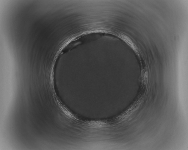 X0000116480389200912161256