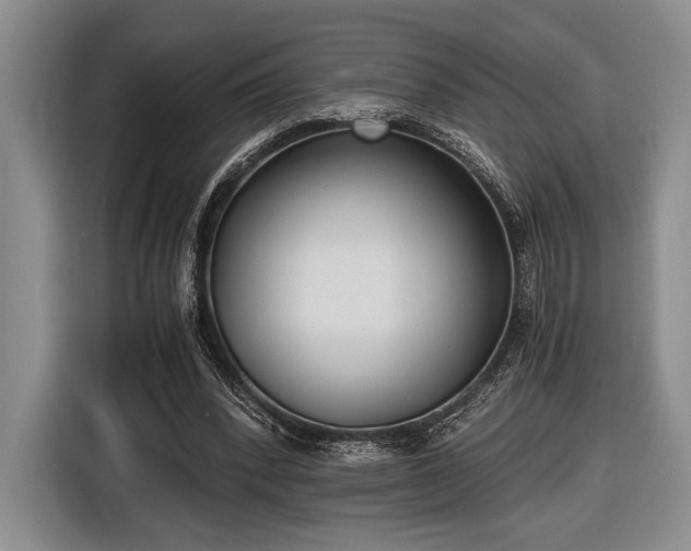 X0000116480392200912161256