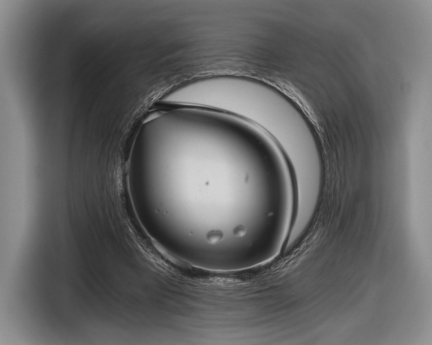 X0000116480393200912161256