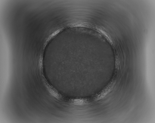 X0000116480394200912161256