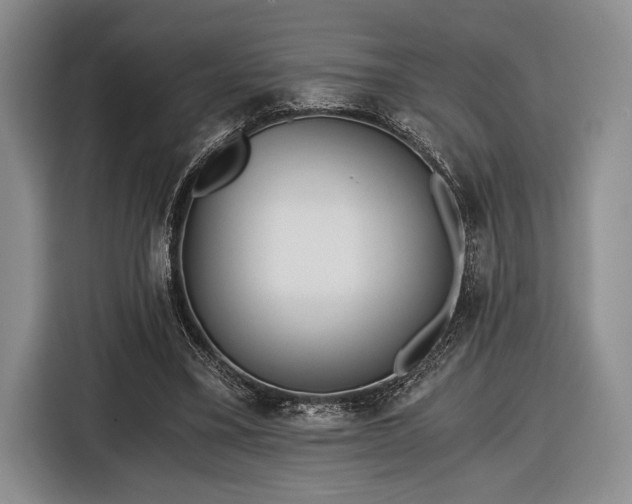 X0000116480395200912161256