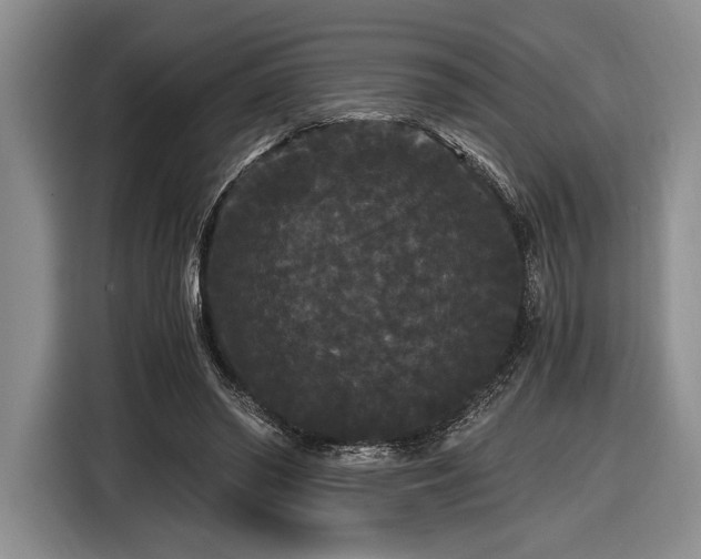 X0000116480398200912161256