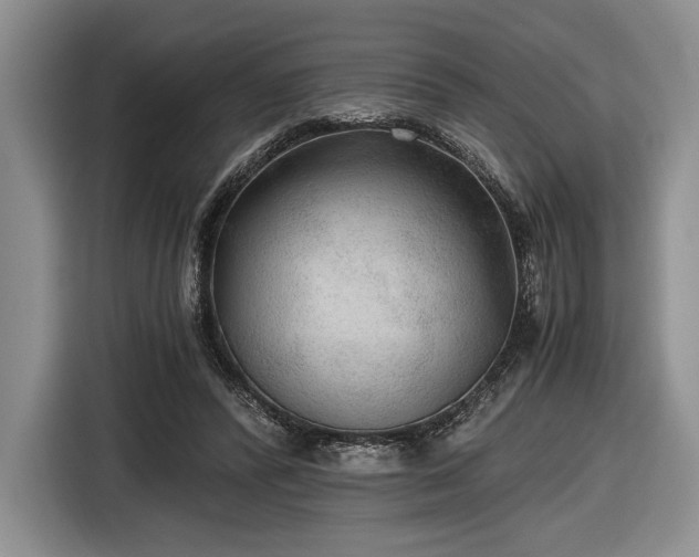 X0000116480400200912161256