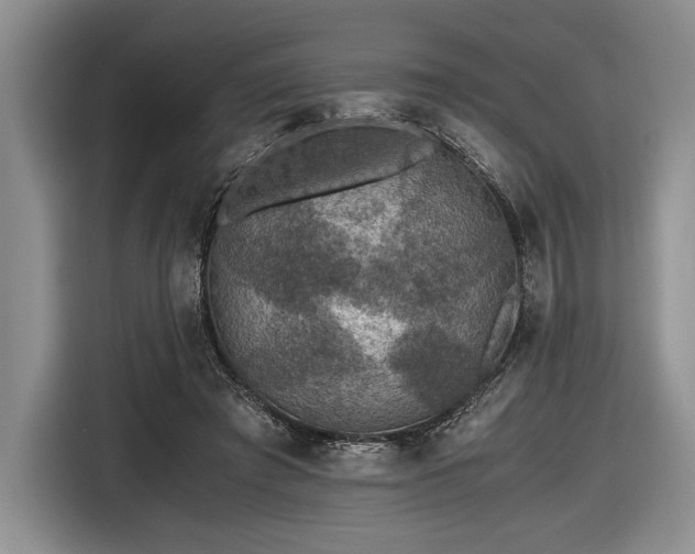 X0000116480401200912161256