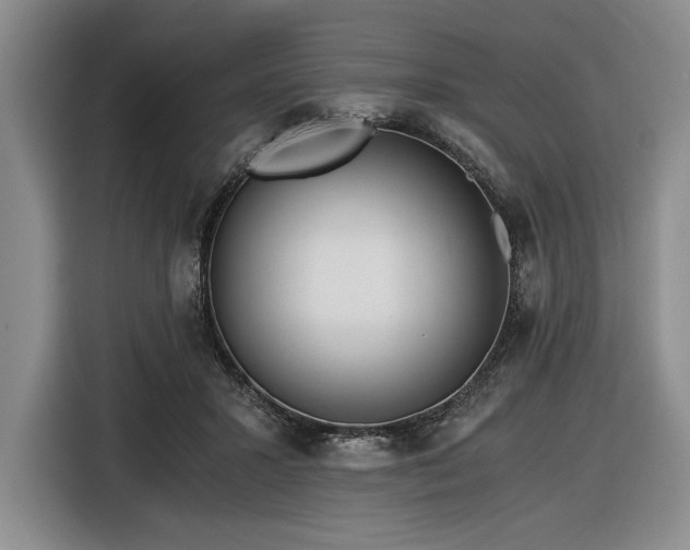 X0000116480407200912161256