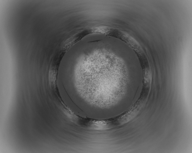 X0000116480409200912161256