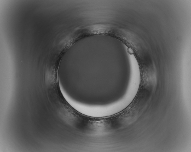 X0000116480411200912161256