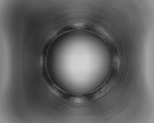 X0000116480412200912161256