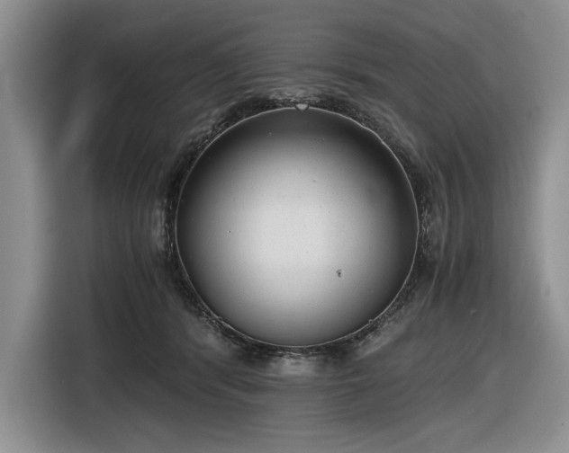 X0000116480416200912161256