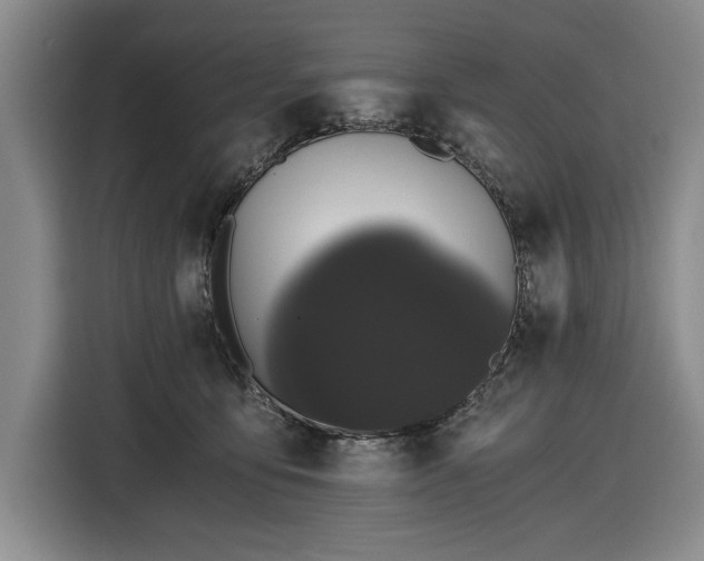 X0000116480419200912161256