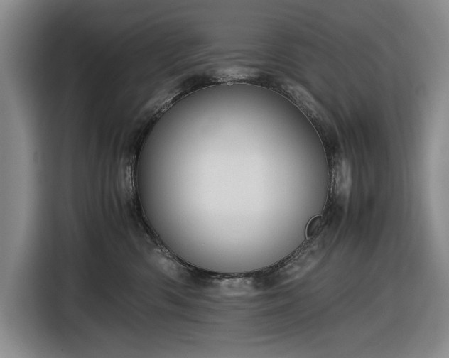 X0000116480426200912161256