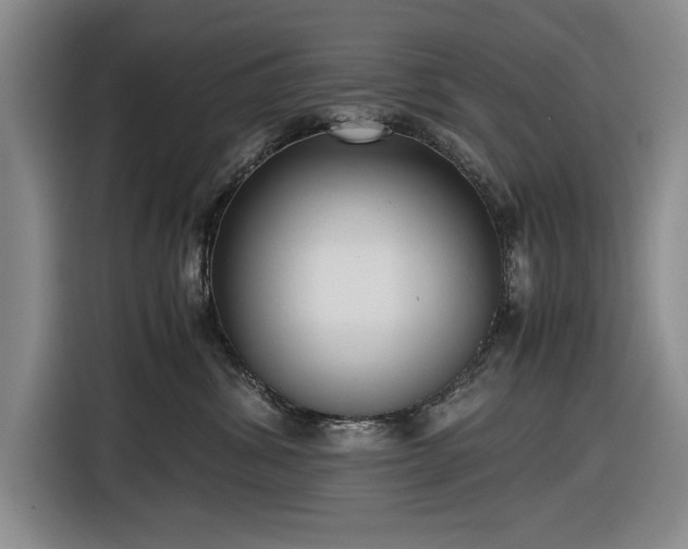 X0000116480428200912161256