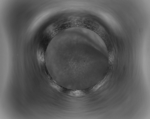 X0000116480431200912161256